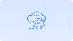 API Management Platform